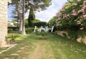 Detached villa with land for sale on España, Rocafort, ref: TR159947 photo