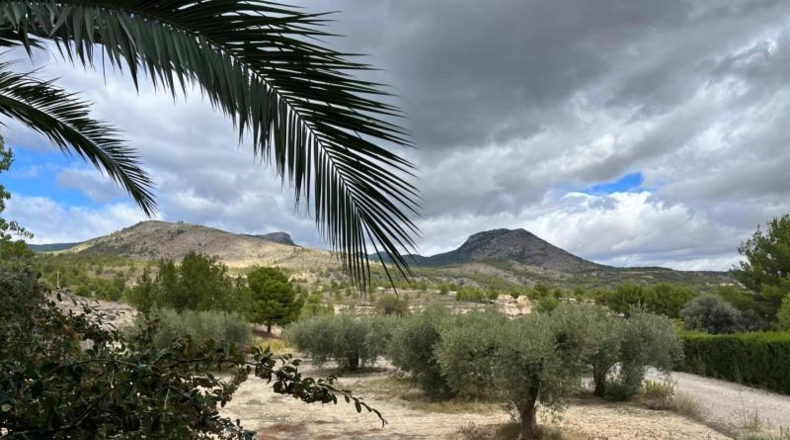 Murcia - Caravaca de la Cruz - 61153m2