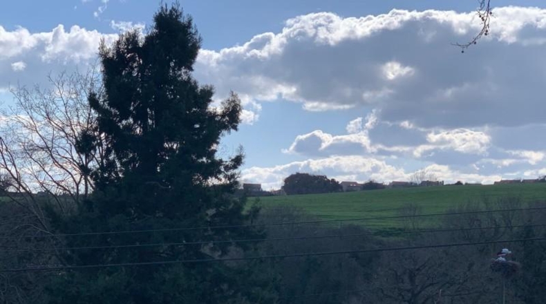 Cantabria - Santillana del Mar - 65059m2