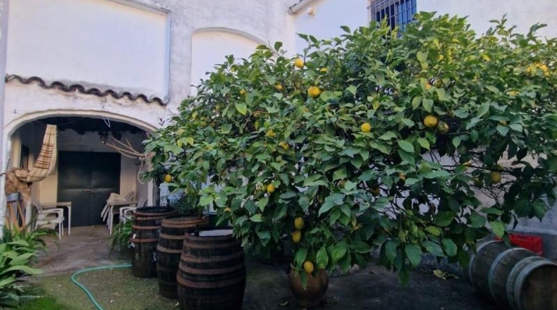 Cadiz - Ubrique - 17491m2