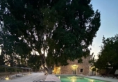 Casa de campo con terreno en venta en la España, Camarles, ref: TR226299 foto