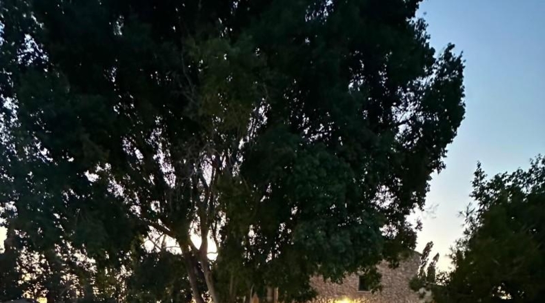 Tarragona - Camarles - 10286m2