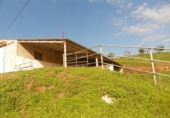 Casa de camp amb terreny en venda a la España, Coín, ref.: TR149518 foto
