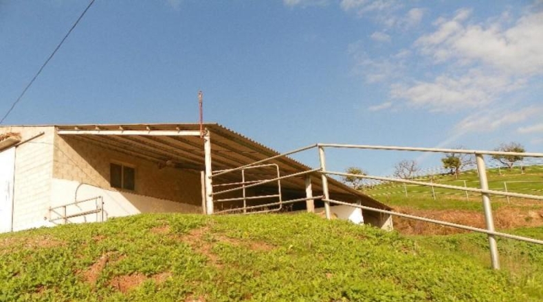 Málaga - Coín - 1450000m2