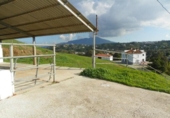 Casa de camp amb terreny en venda a la España, Coín, ref.: TR241291 foto