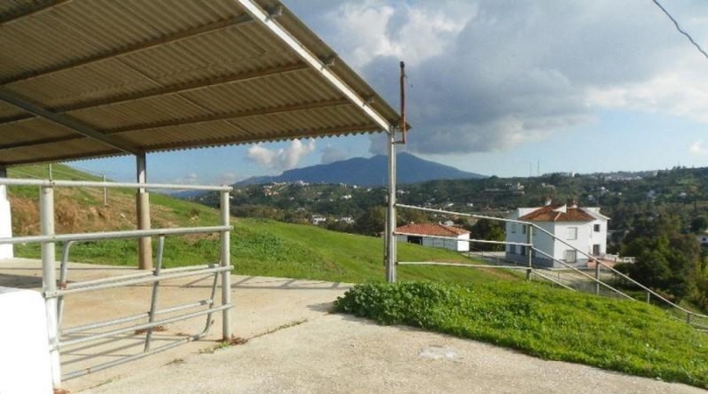 Málaga - Coín - 74000m2