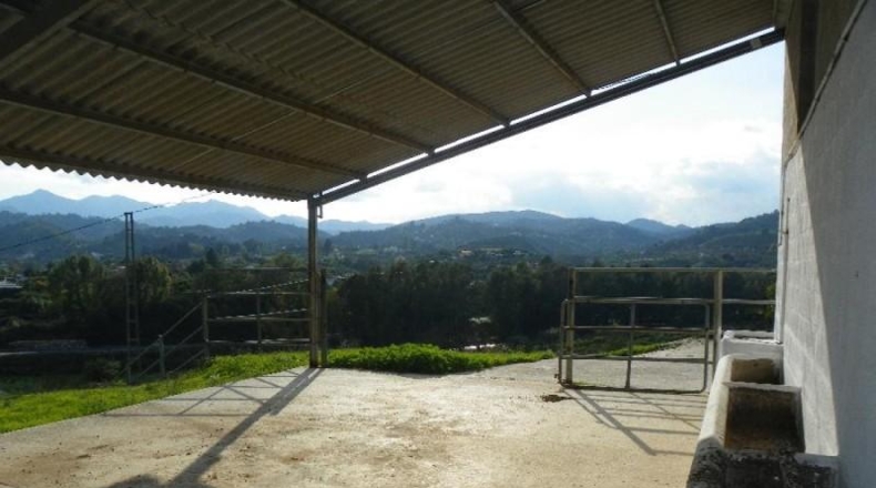 Málaga - Coín - 74000m2