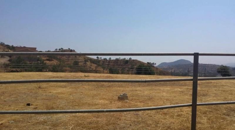 Málaga - Coín - 74000m2