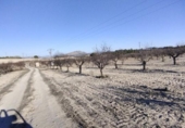 Non-developable land for sale on España, Moratalla, ref: TR119489 photo