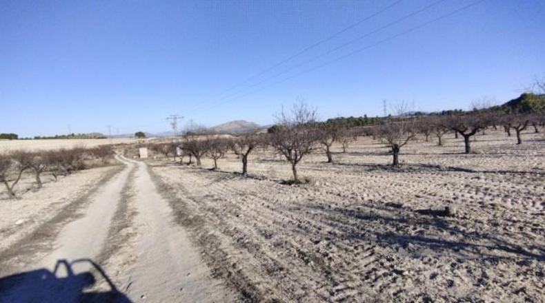 Múrcia - Moratalla - 89000m2