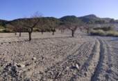 Non-developable land for sale on España, Moratalla, ref: TR119489 photo