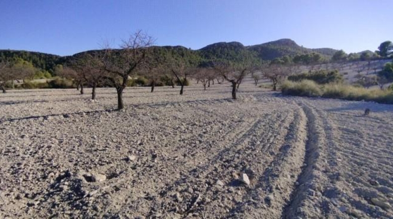 Múrcia - Moratalla - 89000m2