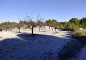Non-developable land for sale on España, Moratalla, ref: TR119489 photo