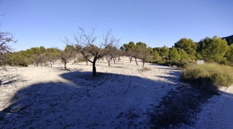 Múrcia - Moratalla - 89000m2