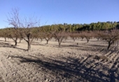 Non-developable land for sale on España, Moratalla, ref: TR119489 photo