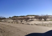 Non-developable land for sale on España, Moratalla, ref: TR119489 photo