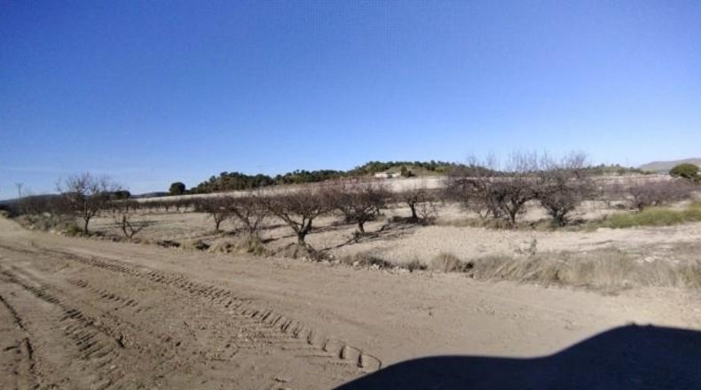 Múrcia - Moratalla - 89000m2