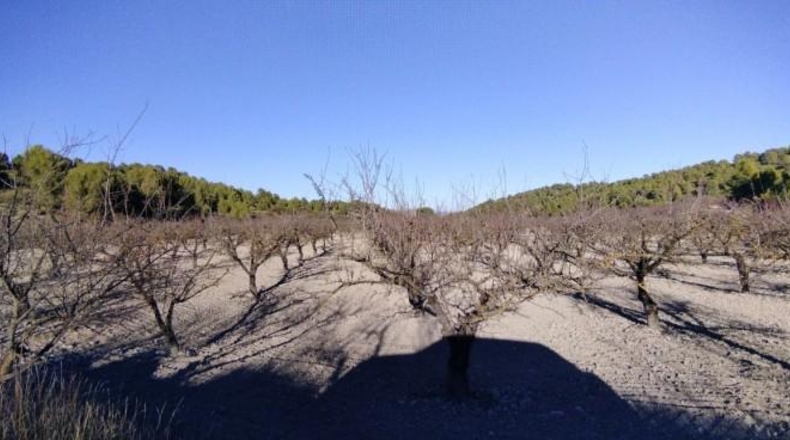 Múrcia - Moratalla - 89000m2