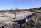 Non-developable land for sale on España, Moratalla, ref: TR119489 photo