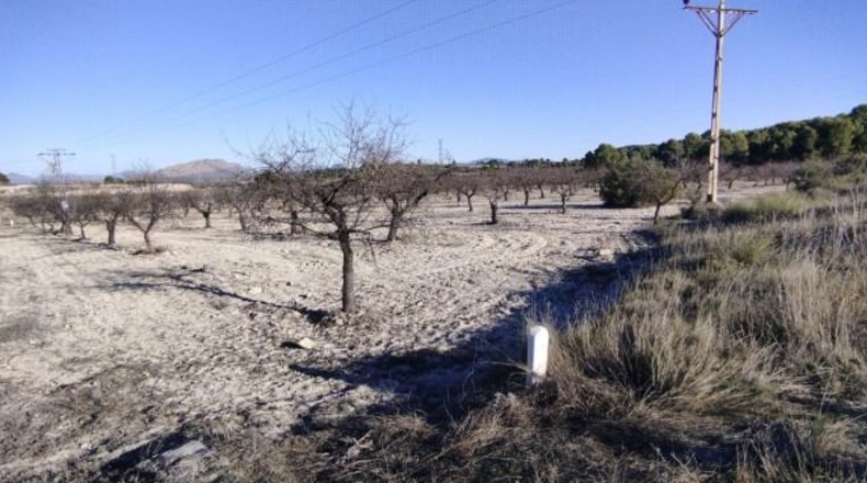 Múrcia - Moratalla - 89000m2
