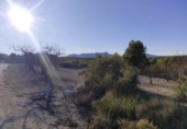 Non-developable land for sale on España, Moratalla, ref: TR119489 photo