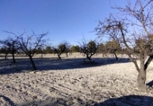 Non-developable land for sale on España, Moratalla, ref: TR119489 photo