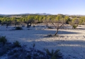Non-developable land for sale on España, Moratalla, ref: TR119489 photo