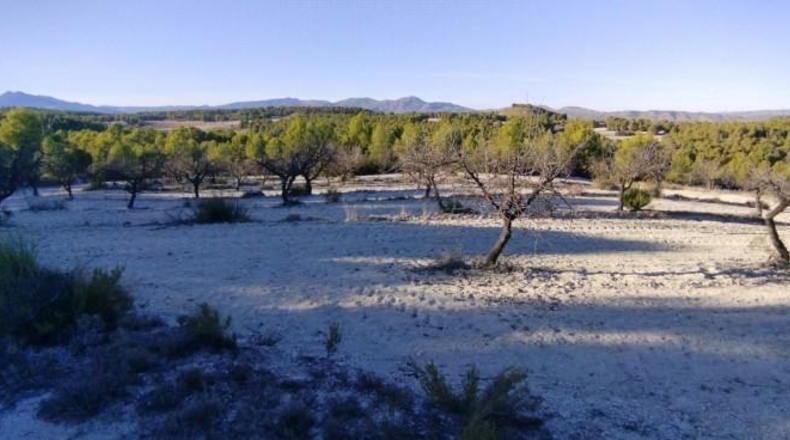 Múrcia - Moratalla - 89000m2