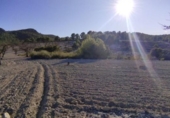 Non-developable land for sale on España, Moratalla, ref: TR119489 photo