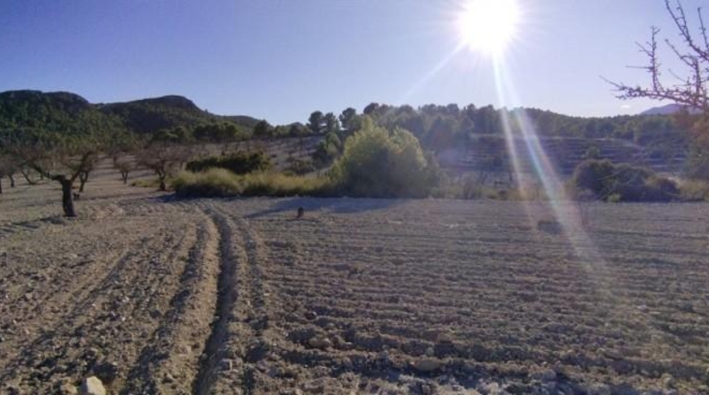 Múrcia - Moratalla - 89000m2