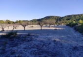 Non-developable land for sale on España, Moratalla, ref: TR119489 photo