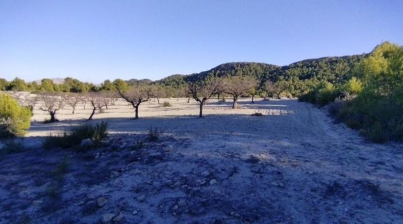 Múrcia - Moratalla - 89000m2