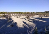 Non-developable land for sale on España, Moratalla, ref: TR119489 photo