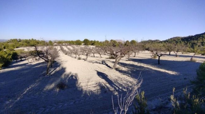Múrcia - Moratalla - 89000m2