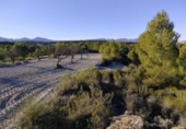 Non-developable land for sale on España, Moratalla, ref: TR119489 photo