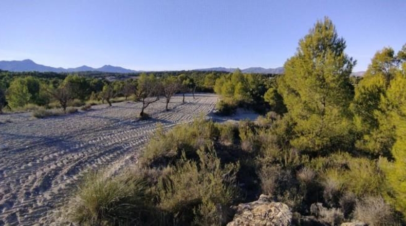 Múrcia - Moratalla - 89000m2