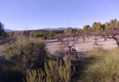 Non-developable land for sale on España, Moratalla, ref: TR119489 photo