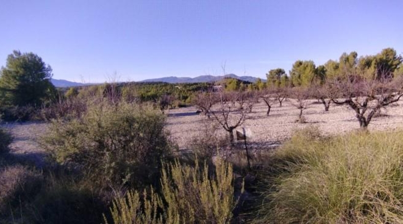 Múrcia - Moratalla - 89000m2