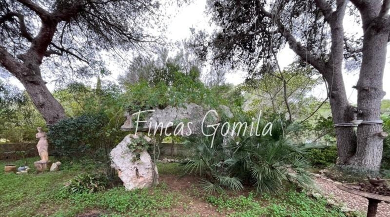 Illes Balears - Torret - 8172m2