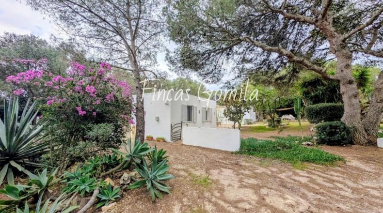 Illes Balears - Torret - 8172m2