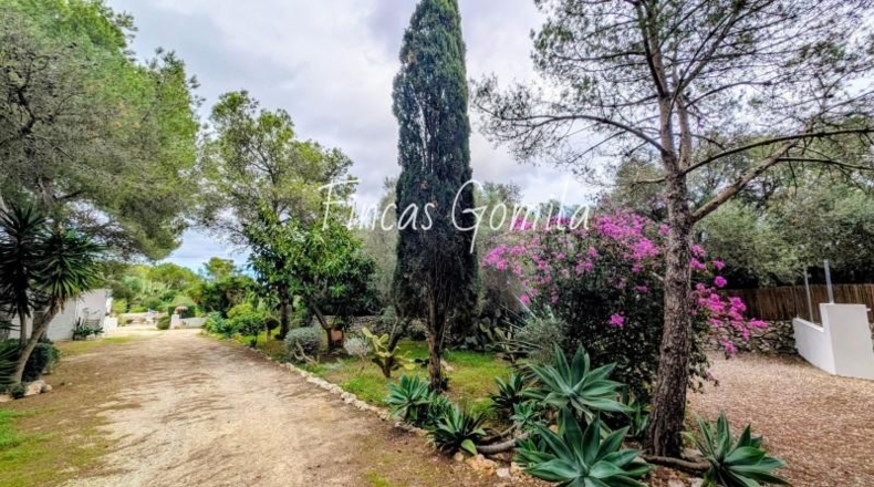 Illes Balears - Torret - 8172m2