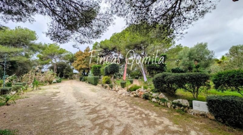 Illes Balears - Torret - 8172m2