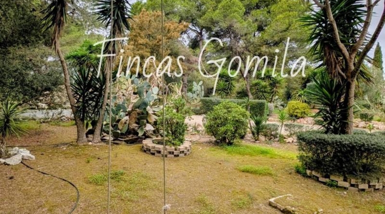 Illes Balears - Torret - 8172m2