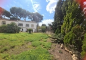 Xalet independent amb terreny en venda a la España, Alacant, ref.: TR152673 foto