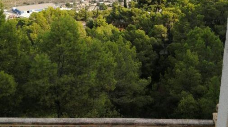 Alicante - Calpe - 18000m2