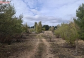 Parcel·la urbanitzable en venda a la España, Arganda del Rey, ref.: TR179574 foto