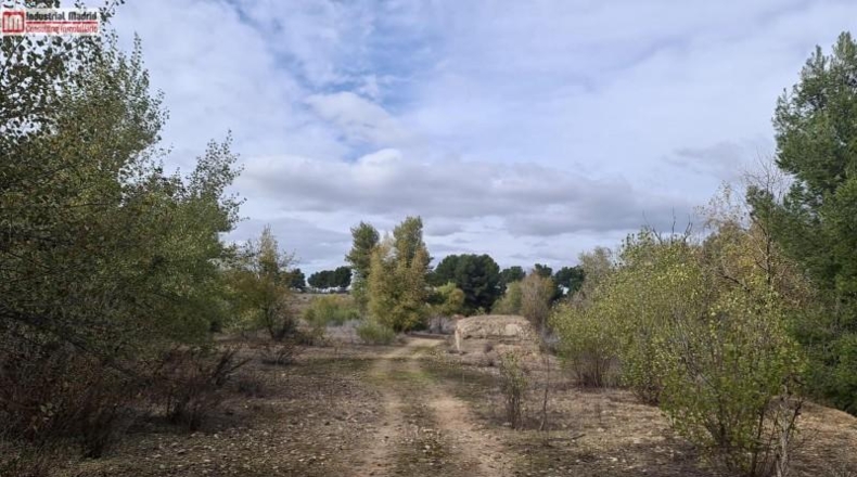Comunidad de Madrid - Arganda del Rey - 222000m2