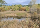 Parcel·la urbanitzable en venda a la España, Arganda del Rey, ref.: TR179574 foto