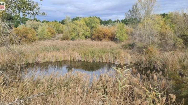 Comunidad de Madrid - Arganda del Rey - 222000m2