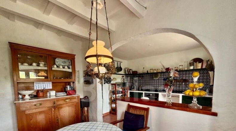 Balearic Islands - Alayor - 3968m2